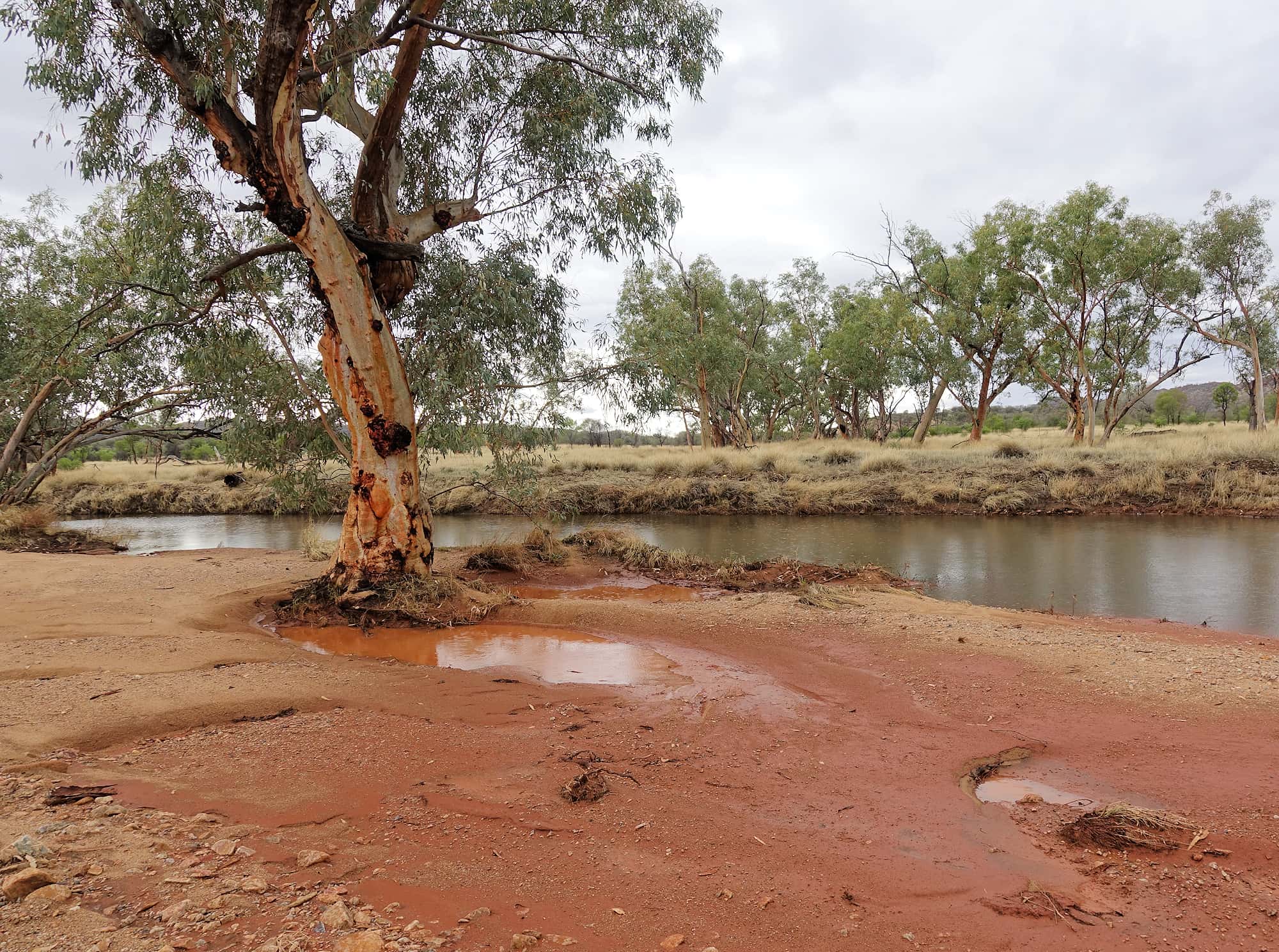 Jay Creek follows part of the Larapinta Drive, NT