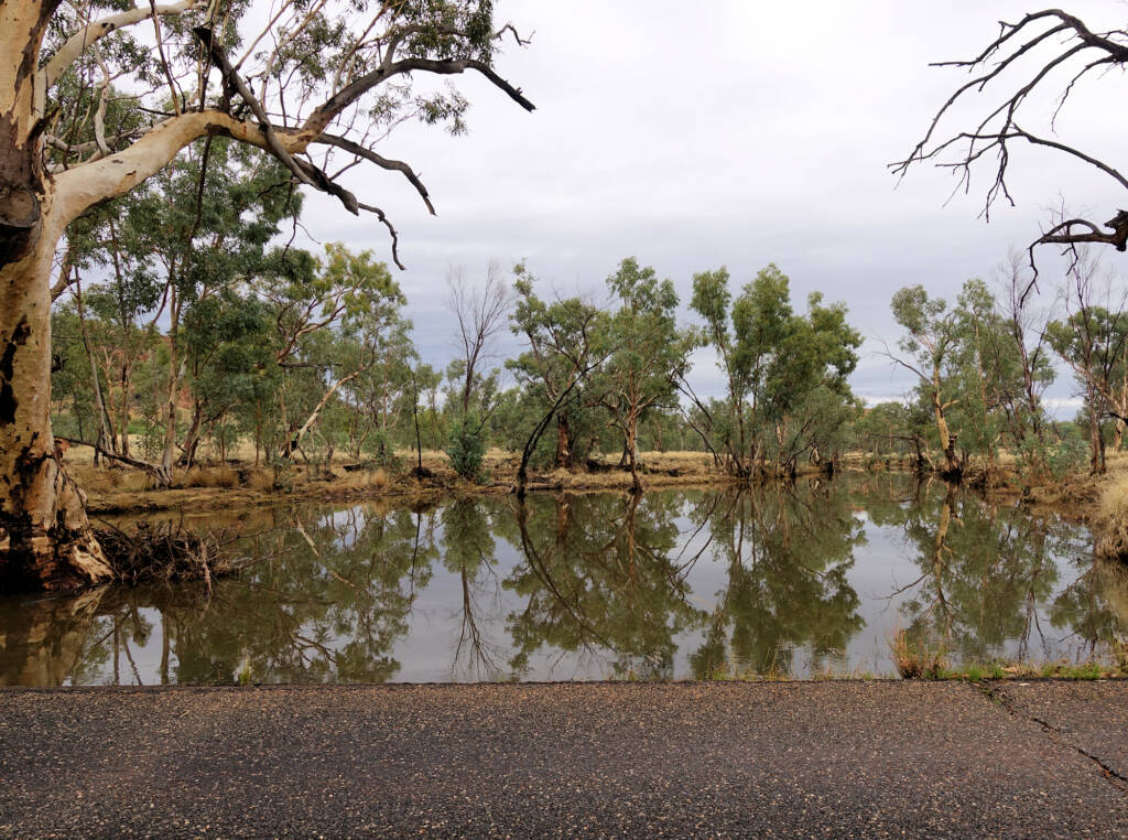 Laura Creek (tributary) looking north (view from Larapinta Drive), NT