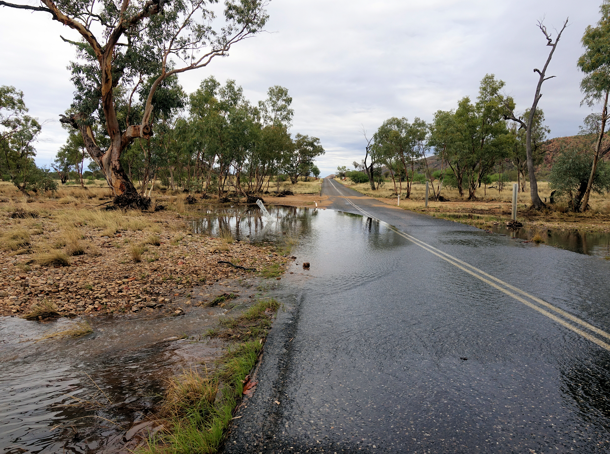 Laura Creek (tributary) crossing Larapinta Drive, NT