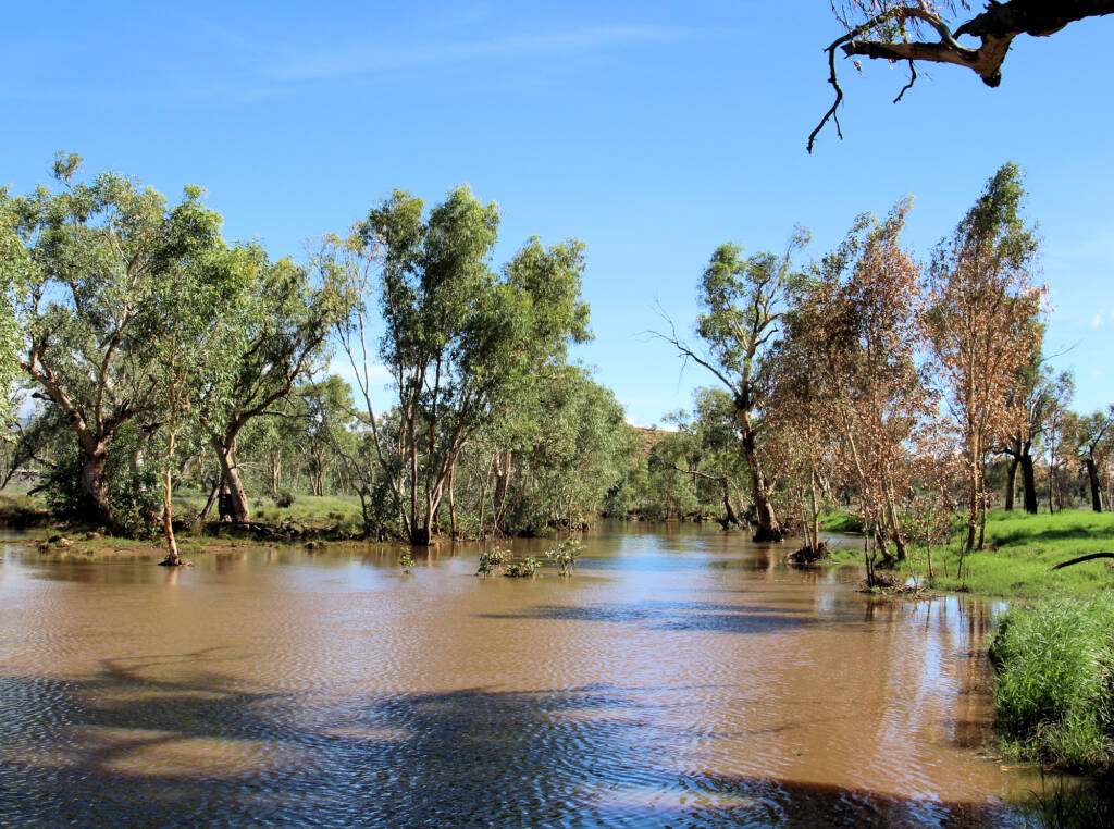 Laura Creek (tributary) - view from Larapinta Drive, NT