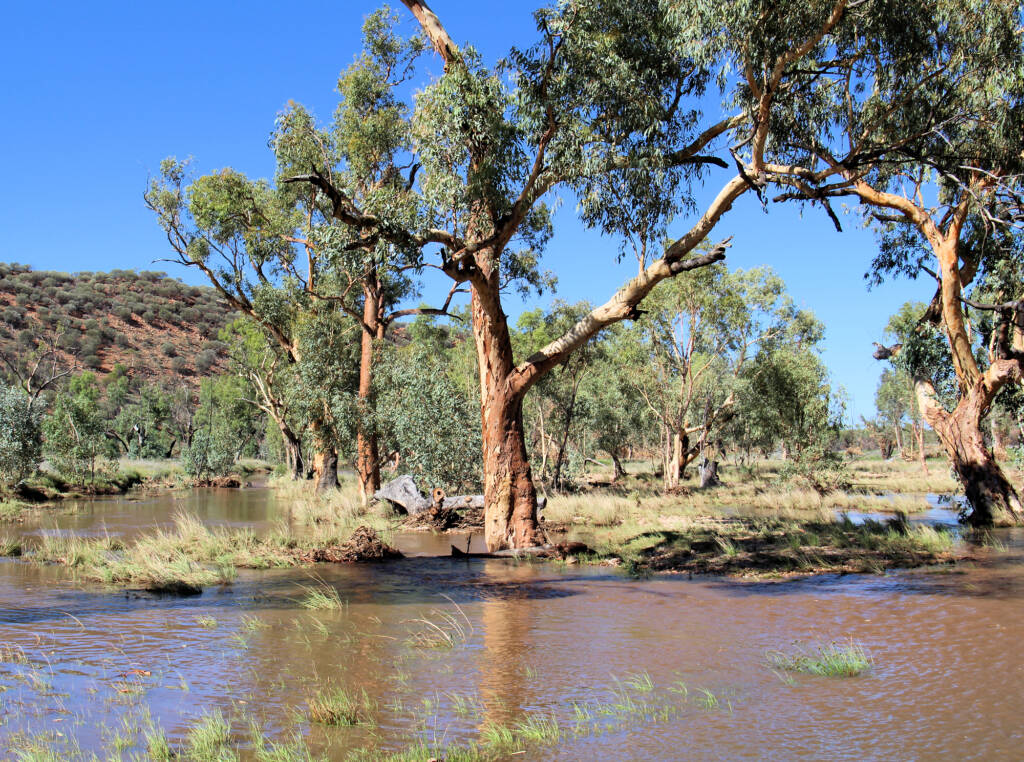 Laura Creek (tributary) - view from Larapinta Drive, NT