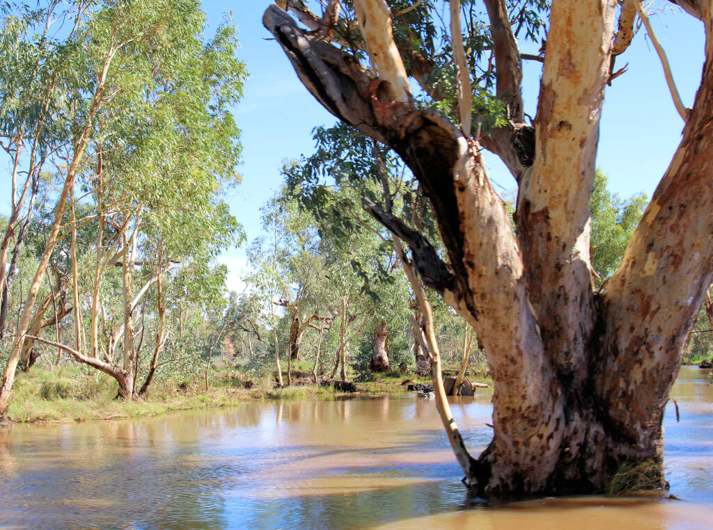 Laura Creek (tributary) looking north (view from Larapinta Drive), NT