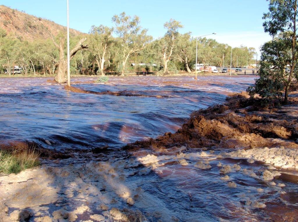 2008 view of the Todd River (east) across Palm Circuit, Alice Springs with the dead tree on the left.