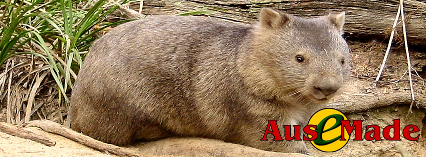 Ausemade Facebook (Timeline) - Wombat