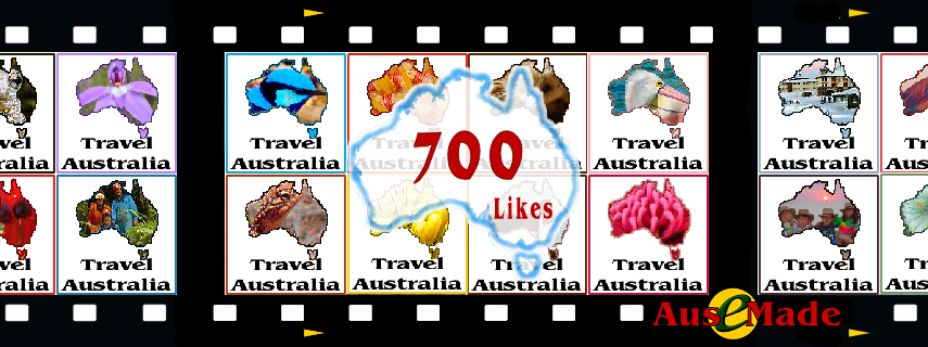 Ausemade Facebook Likes 700