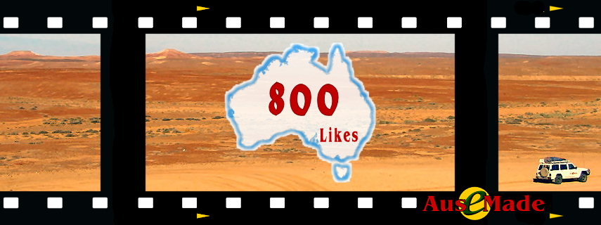 Ausemade Facebook Likes 800