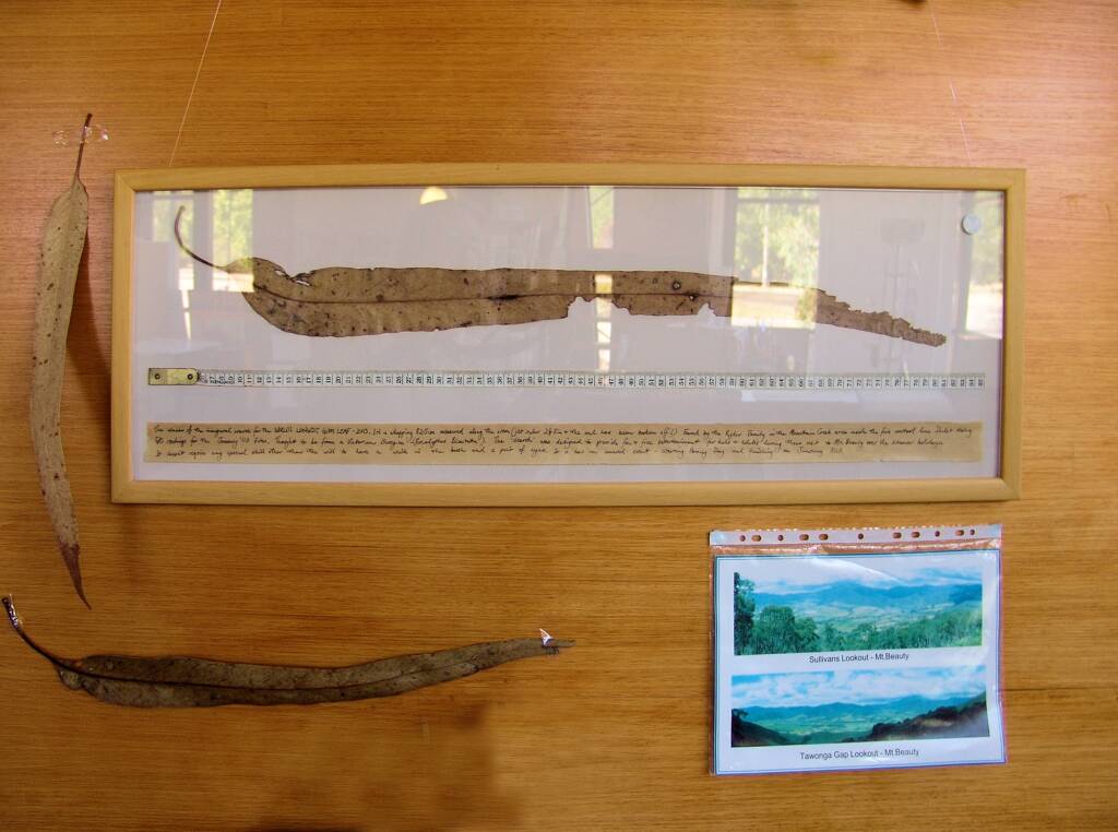 World’s Longest Gum Leaf, 2003 - Mount Beauty Visitor Information Centre