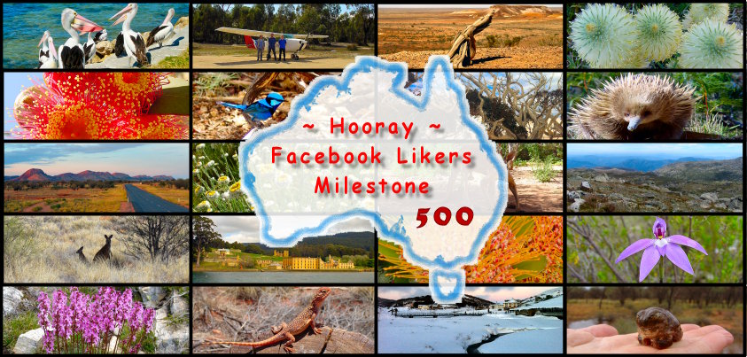 Ausemade Facebook (Timeline) Likes 500