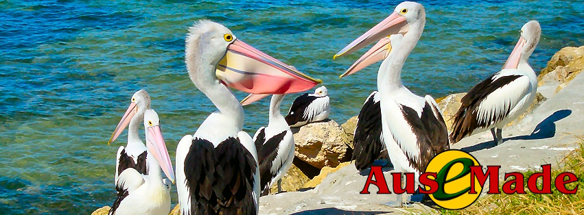 Ausemade Facebook (Timeline) - Pelicans on Kangaroo Island, South Australia