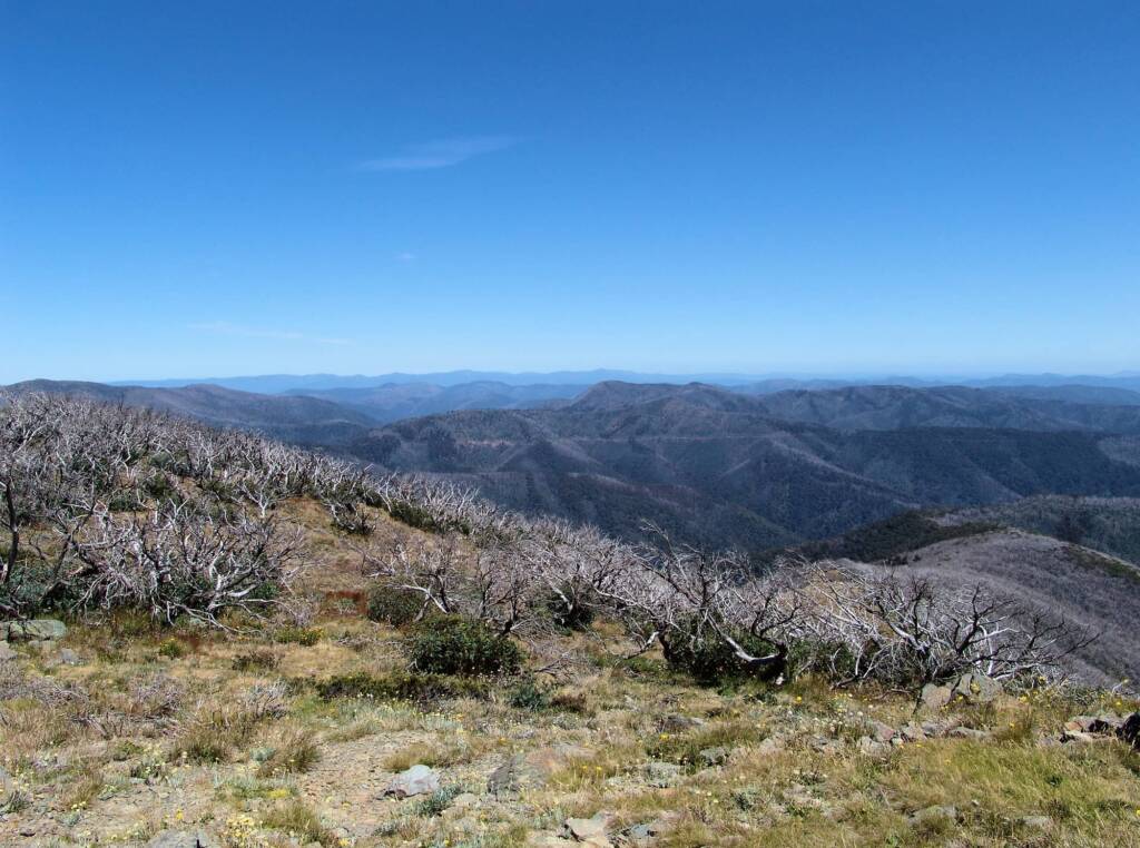 View from Danny’s Lookout (Hotham Heights), Alpine National Park