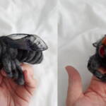 Golden-browed Resin Bee © Jane Gillard, Felted Love