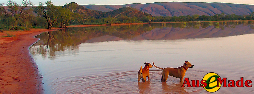 Ausemade Facebook (Timeline) - One of Alice Springs lesser known attractions, a wonderland when it is filled with water... and popular with the locals for walking their dogs