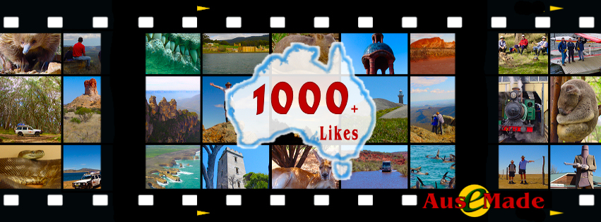 Ausemade Facebook Likes 1000