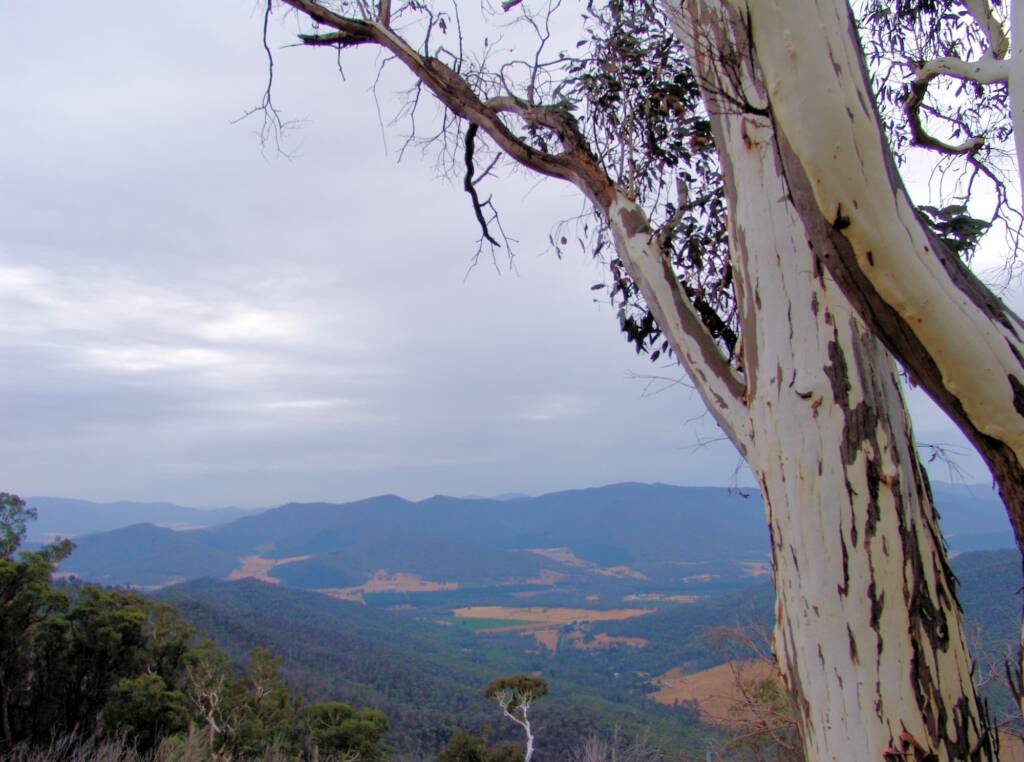 View from Mackeys Lookout, Mount Buffalo