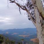 View from Mackeys Lookout, Mount Buffalo