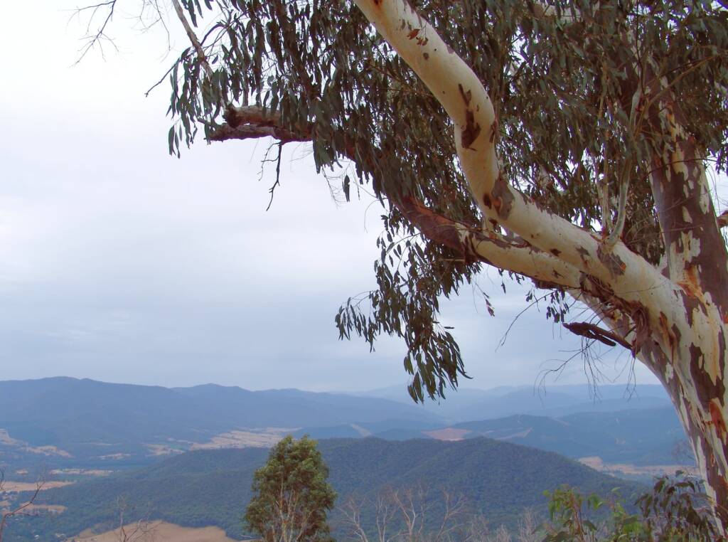 View from Mackeys Lookout, Mount Buffalo