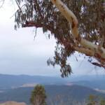 View from Mackeys Lookout, Mount Buffalo