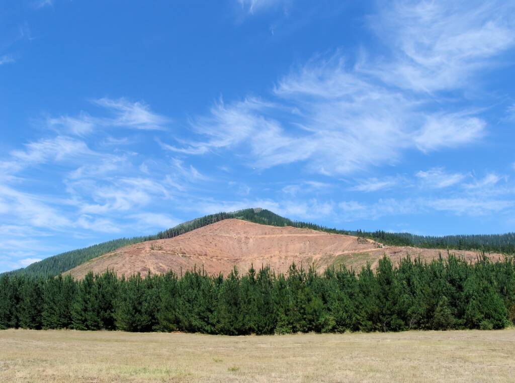View up to Mystic Mountain, Bright, VIC