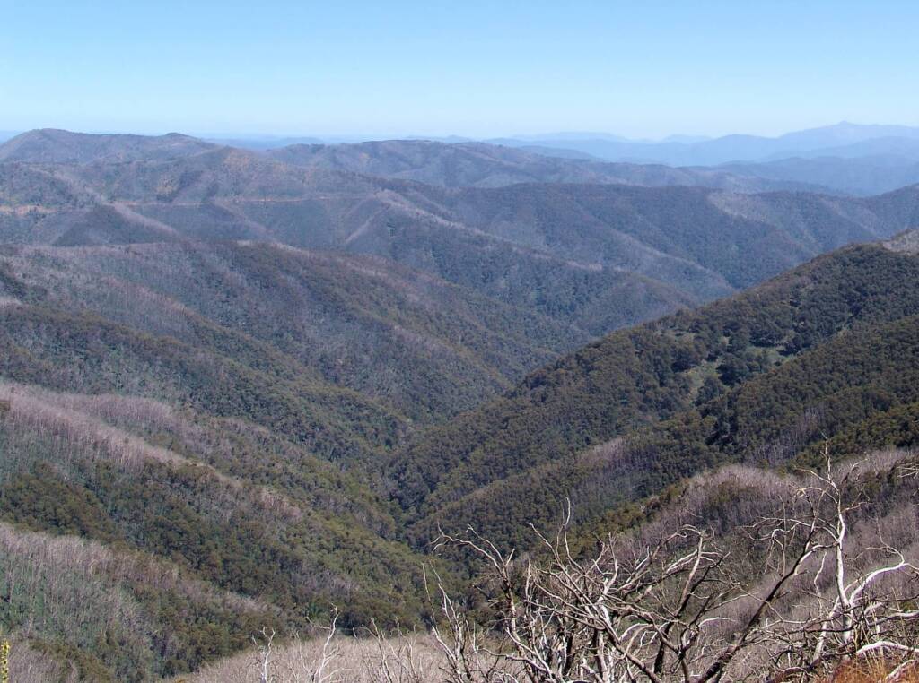 On-route to Mount Hotham, Victorian Alpine Region