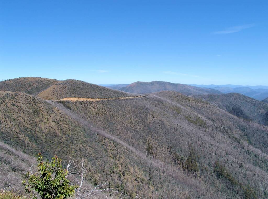 On-route to Mount Hotham, Victorian Alpine Region
