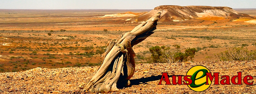 Ausemade Facebook (Timeline) - The Breakaways Reserve - Perenties and Goulds goanna are the largest lizards in this region of South Australia