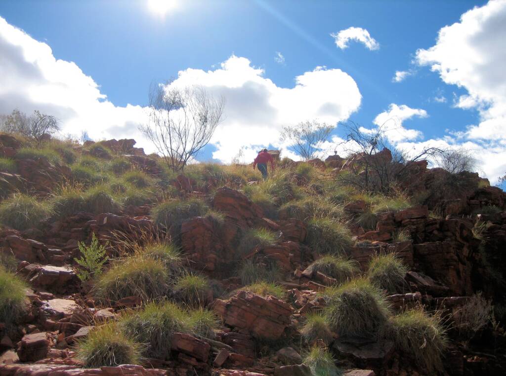Trephina Gorge Nature Park