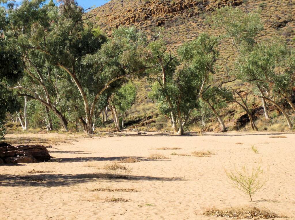 Trephina Gorge Nature Park