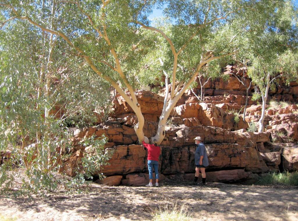 Trephina Gorge Nature Park