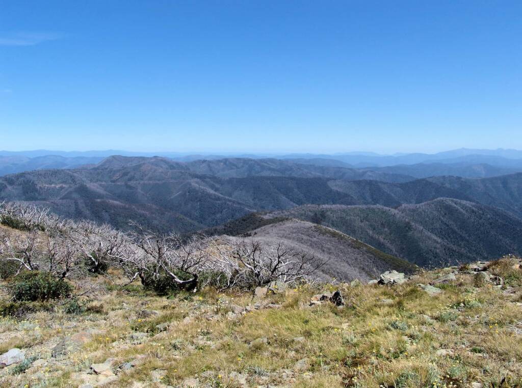 View from Danny’s Lookout, Victorian Alpine Region