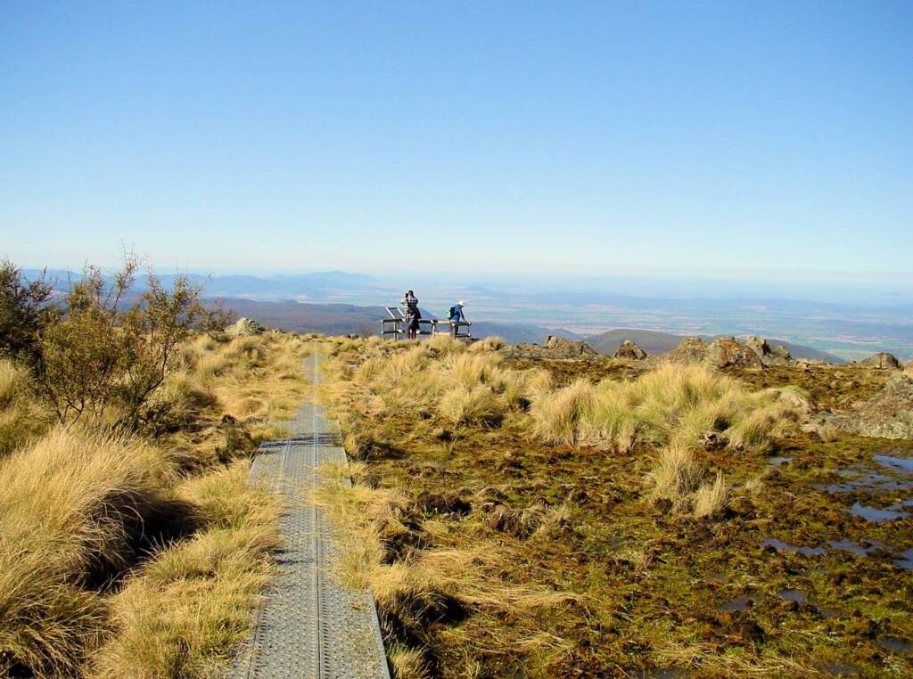 Eckfords Elevated Walkway, Mount Kaputar National Park, NSW