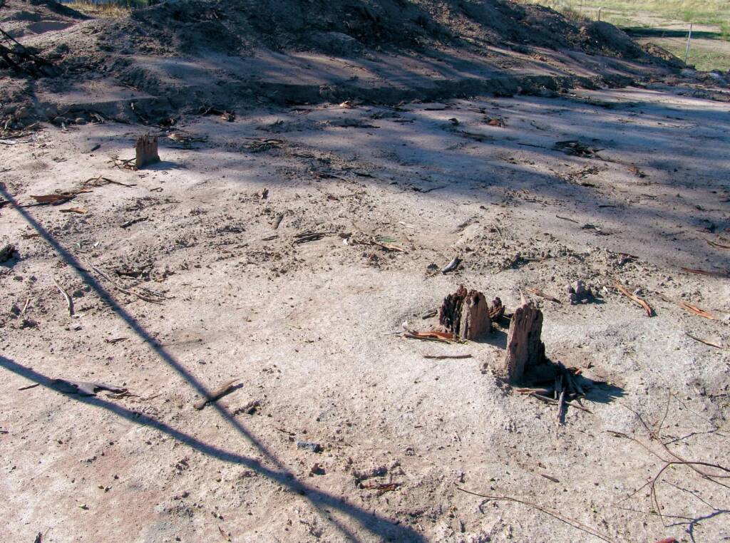 Remnants of the original fence that police stood behind during the siege (Ned Kelly), Glenrowan, VIC