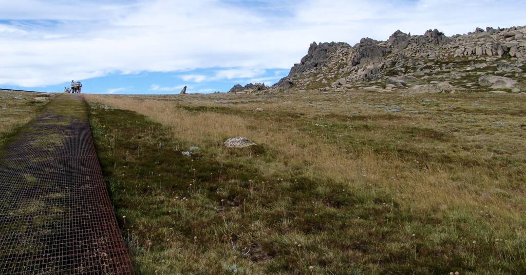 Granite is the only rock I saw... large blocks of which cover the tops of every eminence.