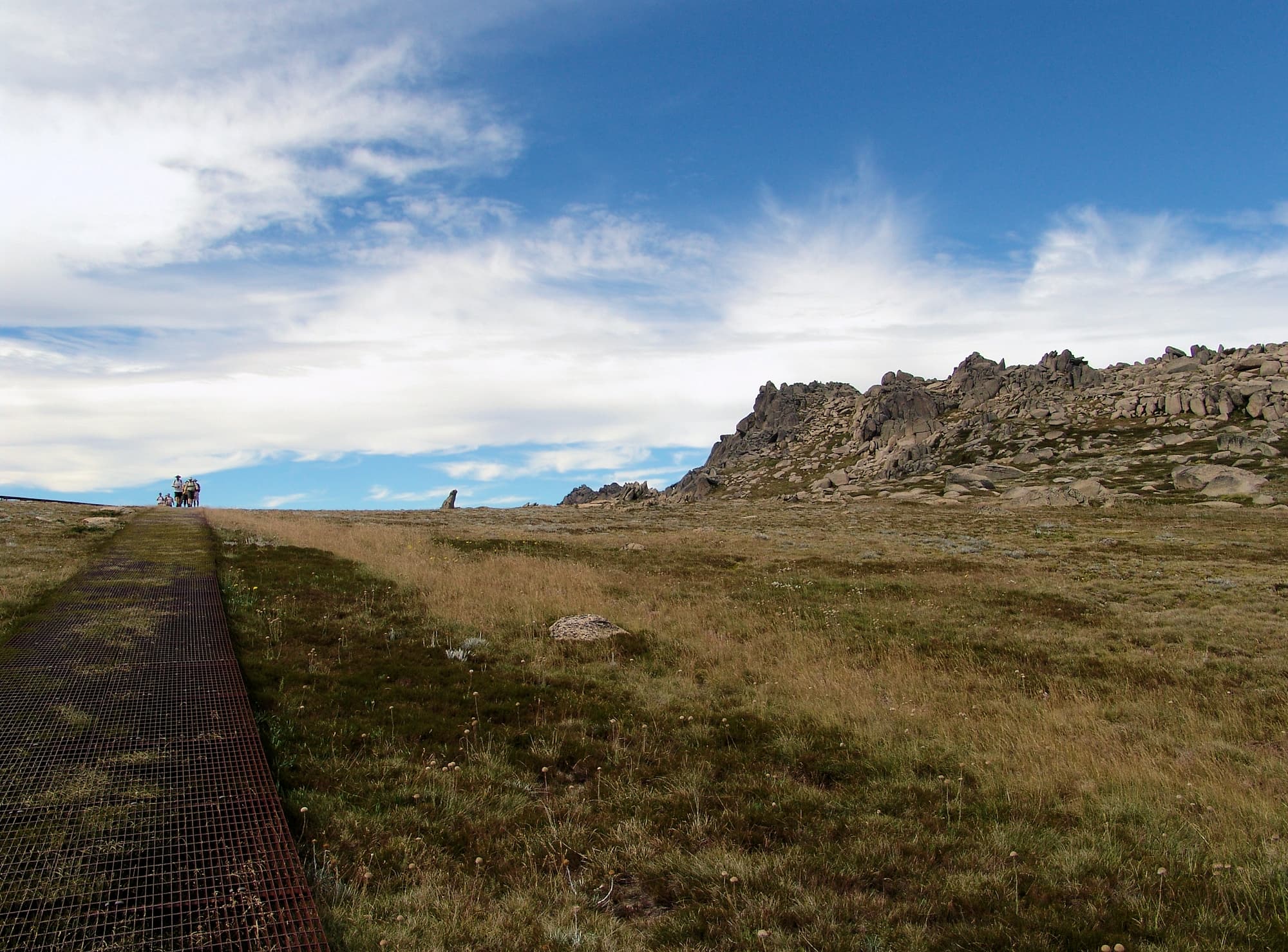 Granite is the only rock I saw... large blocks of which cover the tops of every eminence.