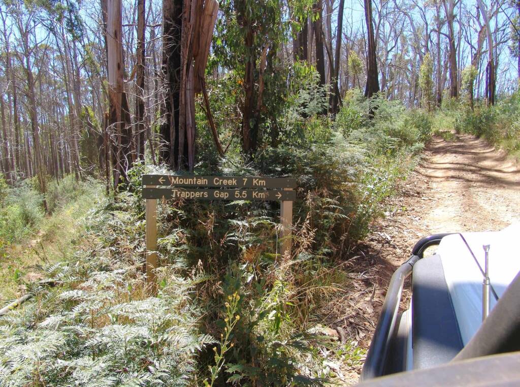 Junction of The Holloway, Camp Creek and Mountain Creek Tracks. VIC