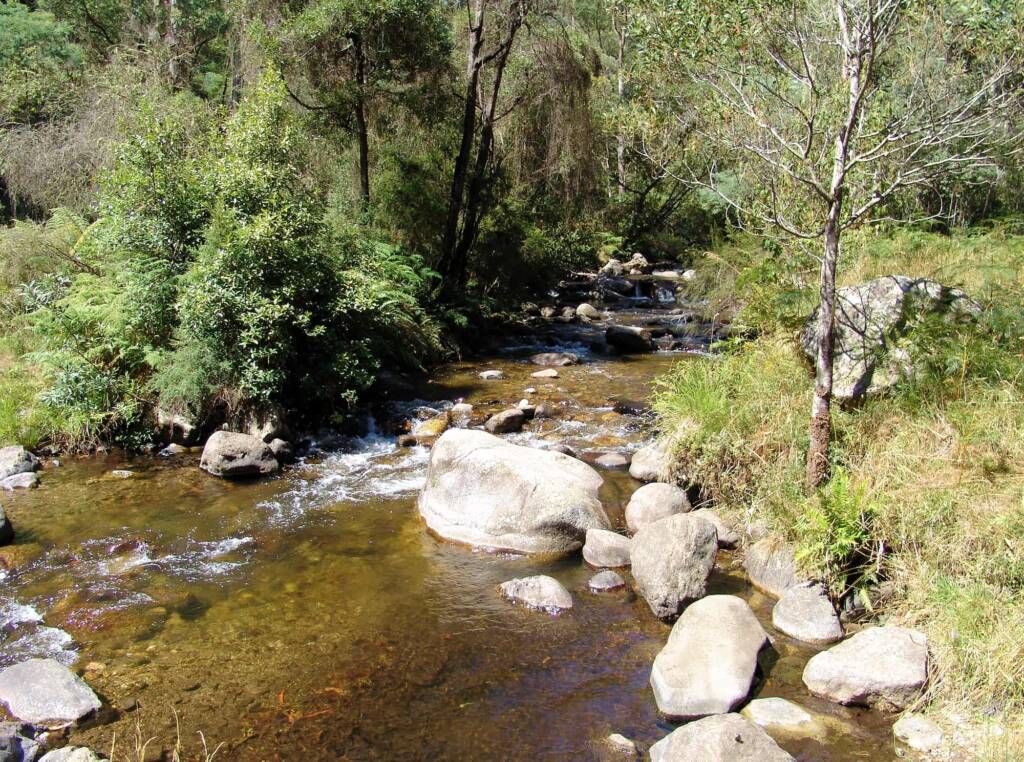 Mountain Creek, VIC