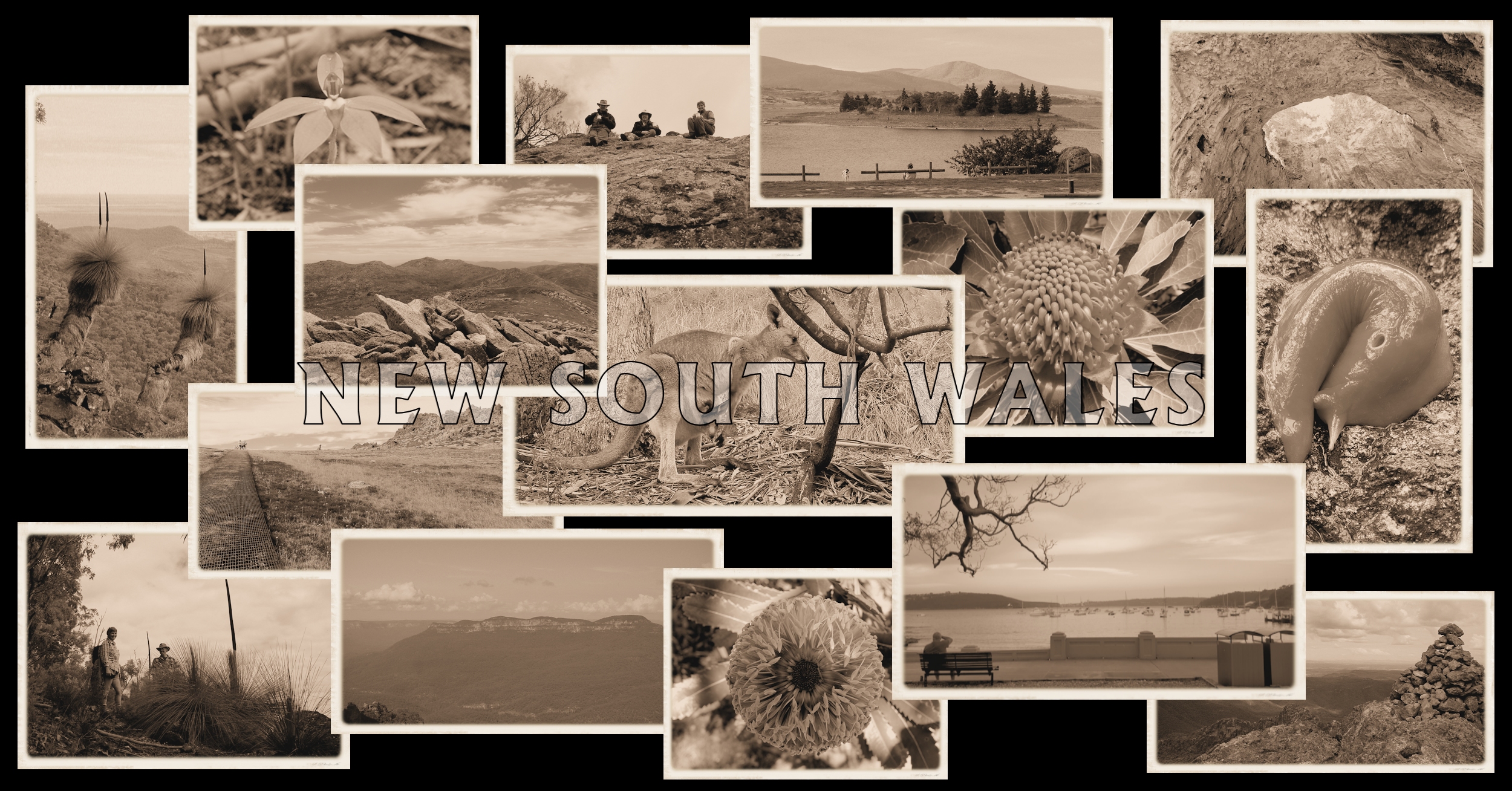 Snapshots from New South Wales