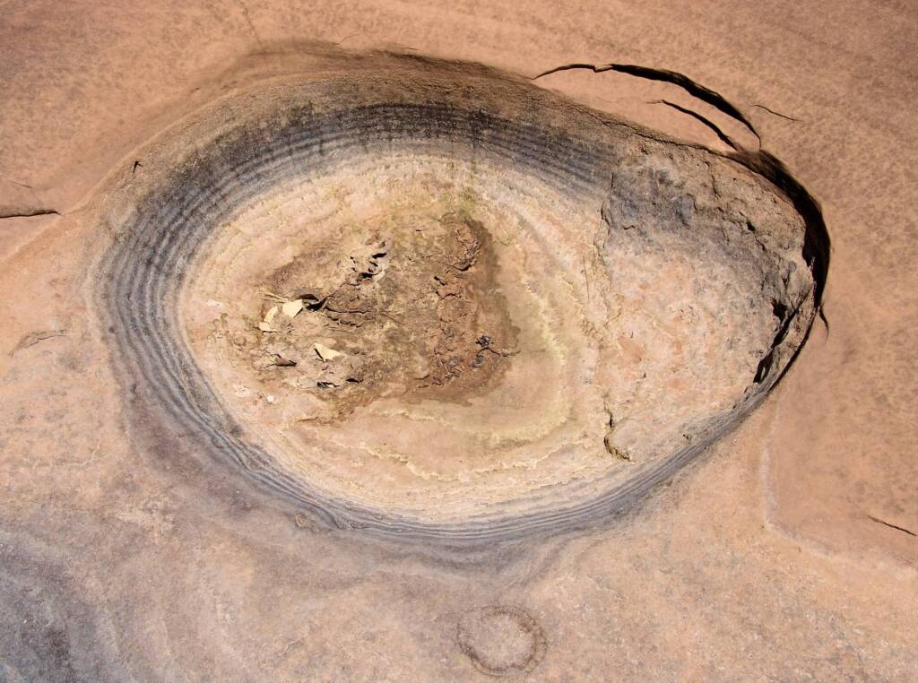 Dried out rock depression, with desiccated tadpoles at the bottom, Finke Gorge National Park