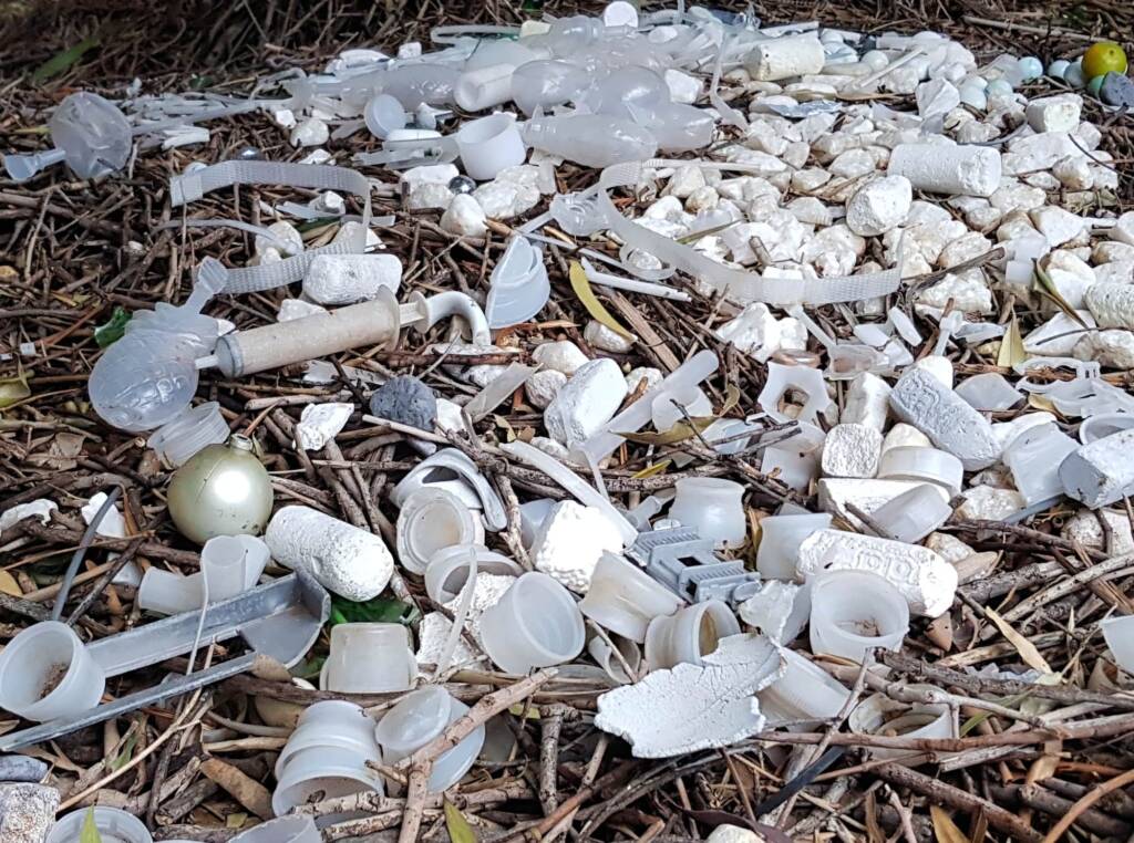 Treasures of our Western Bowerbird