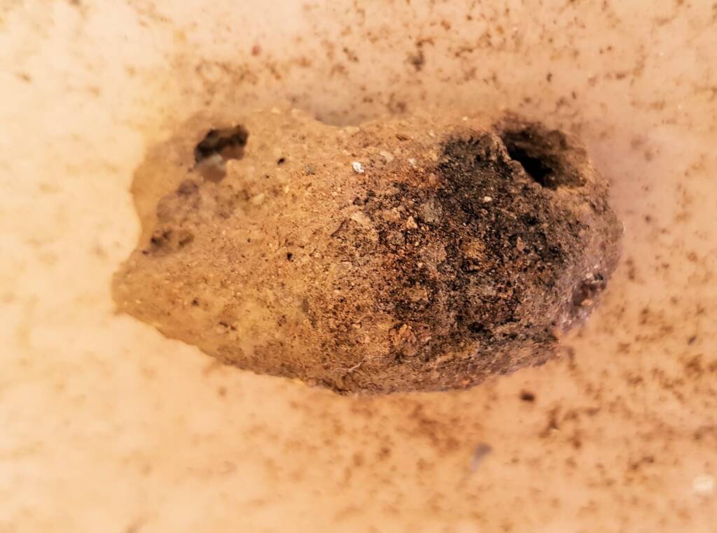 Mud nest, Alice Springs, NT