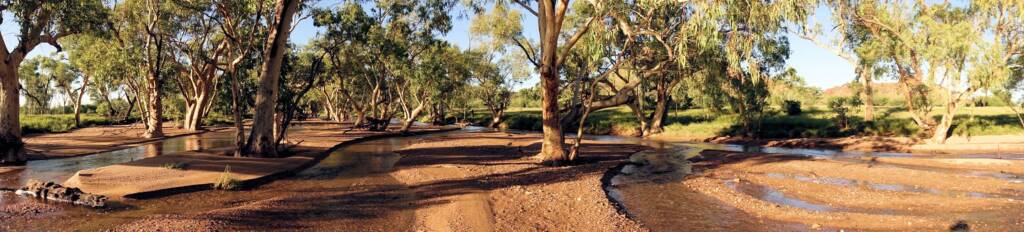 Roe Creek, Simpsons Gap, NT