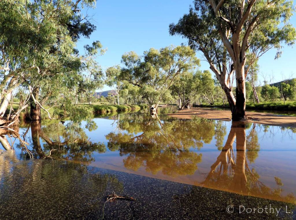 Roe Creek, Simpsons Gap, NT © Dorothy L.
