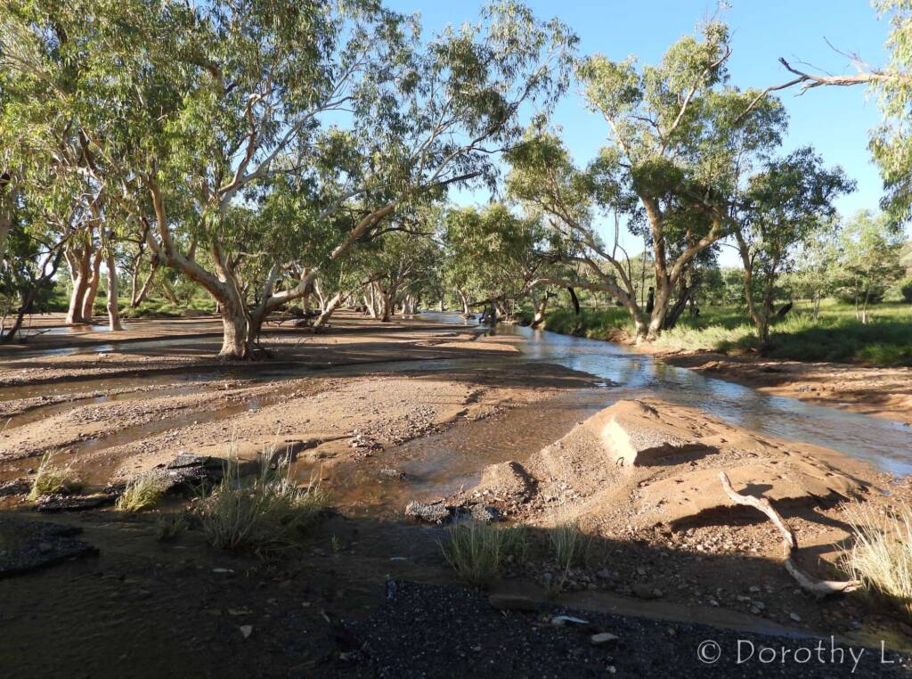 Roe Creek, Simpsons Gap, NT © Dorothy L.