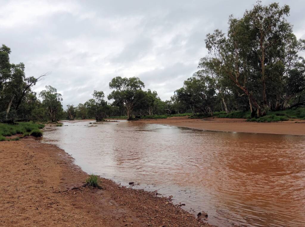 Looking north up Todd River (from north side of Stott Terrace Bridge), Alice Springs, NT