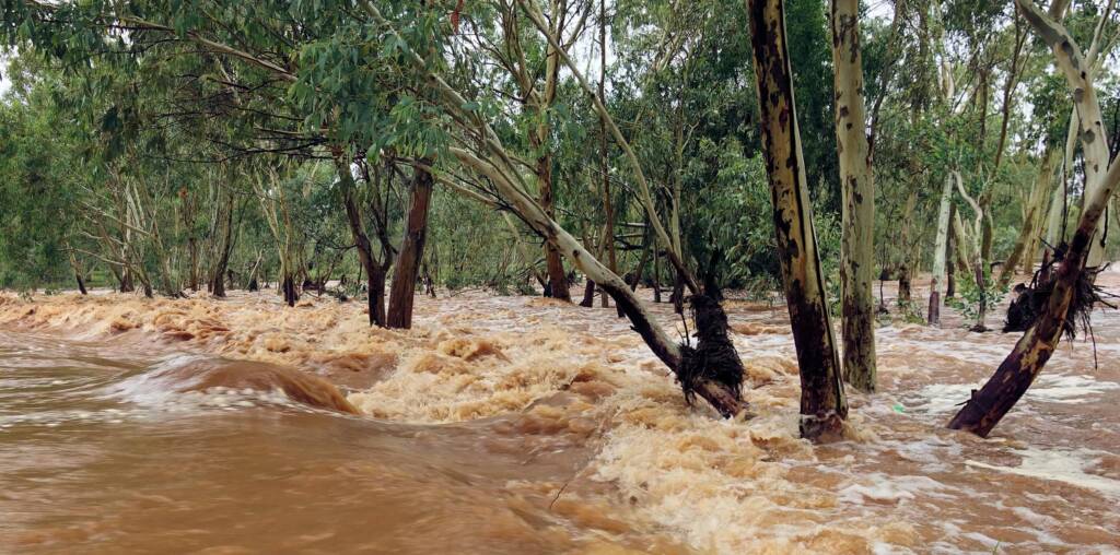 Todd River raging across Palm Circuit, Alice Springs, NT