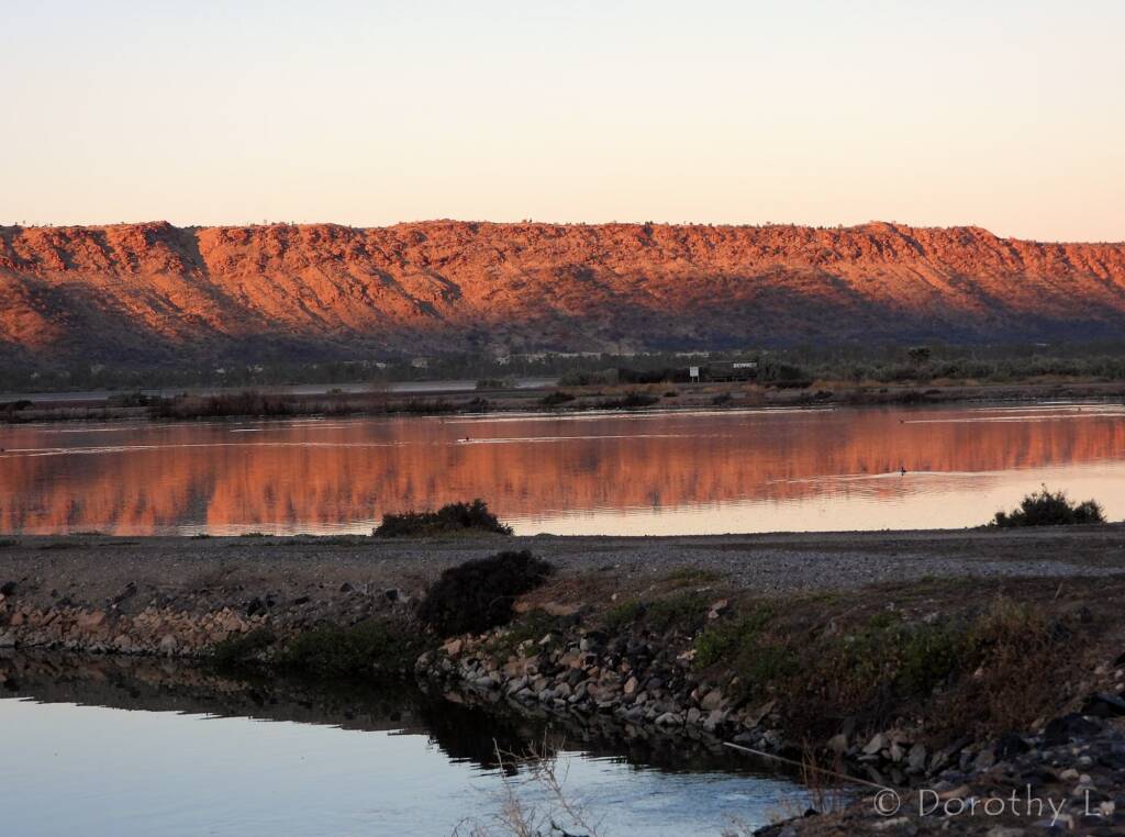 Alice Springs Sewage Ponds, Central Australia, NT