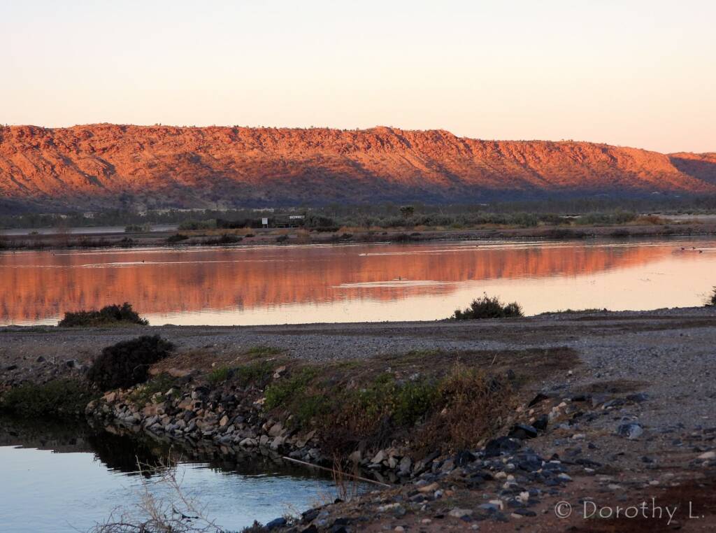 Alice Springs Sewage Ponds, Central Australia, NT