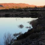 Alice Springs Sewage Ponds, Central Australia, NT