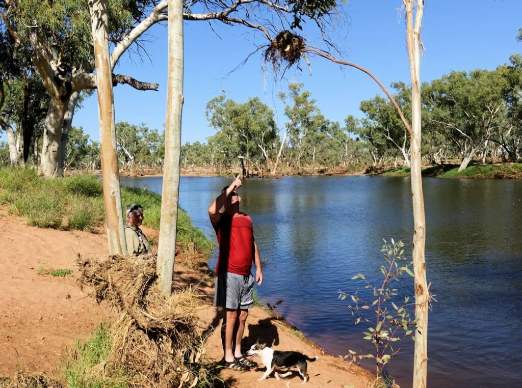 Height of the flood water through the Hugh River, Redbank Waterhole, Owen Springs, NT