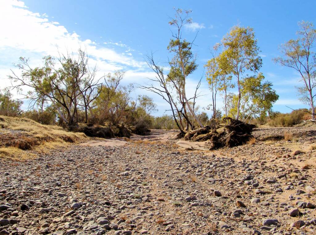 Hugh River bed, Owen Springs Reserve, NT