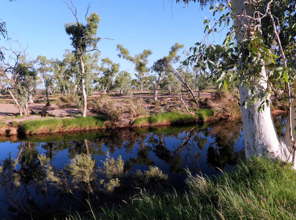 Reflections at Redbank Waterhole, Owen Springs Reserve © Dorothy Latimer